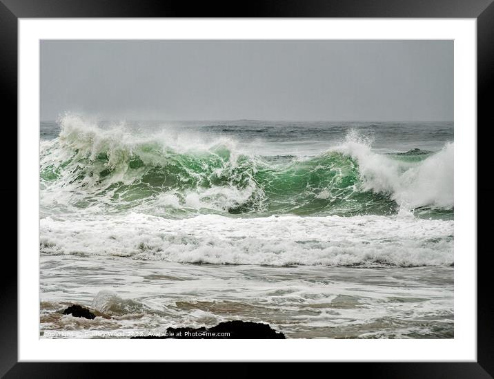 Majestic Coastal Waves Framed Mounted Print by Dudley Wood