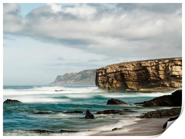 Majestic Jurassic Seascapes Print by Dudley Wood