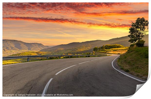 Sunset over vineyards and road. Wachau valley. Austria Print by Sergey Fedoskin
