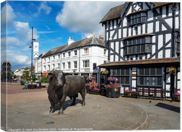 Hereford Bull Statue and Black and White House Hereford Canvas Print by Mark Sunderland