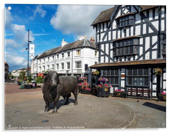 Hereford Bull Statue and Black and White House Hereford Acrylic by Mark Sunderland