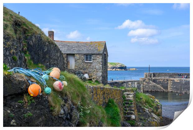 The Old Cottage at Mullion Harbour in Cornwall Print by Tracey Turner