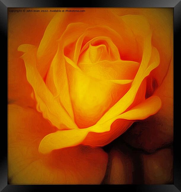 Yellow Rose with a little rain (Digital Art) Framed Print by John Wain