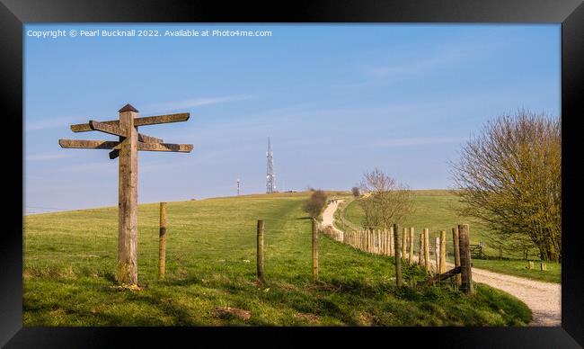 Path to Trundle Hill Sussex Downs Framed Print by Pearl Bucknall