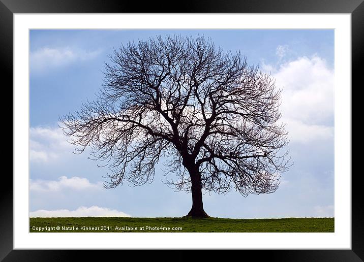 Tree Silhouette Framed Mounted Print by Natalie Kinnear