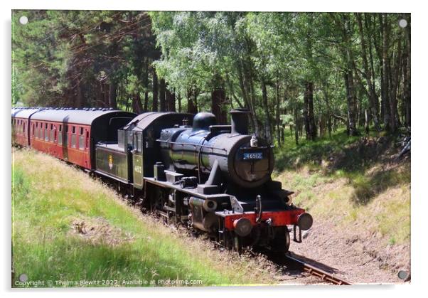 Strathspey Steam Railway Acrylic by Thelma Blewitt