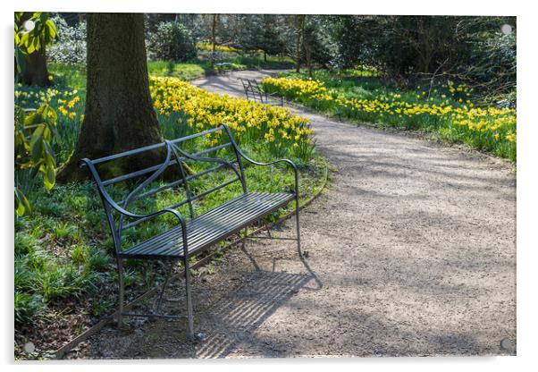 Bench next to daffodils Acrylic by Jason Wells