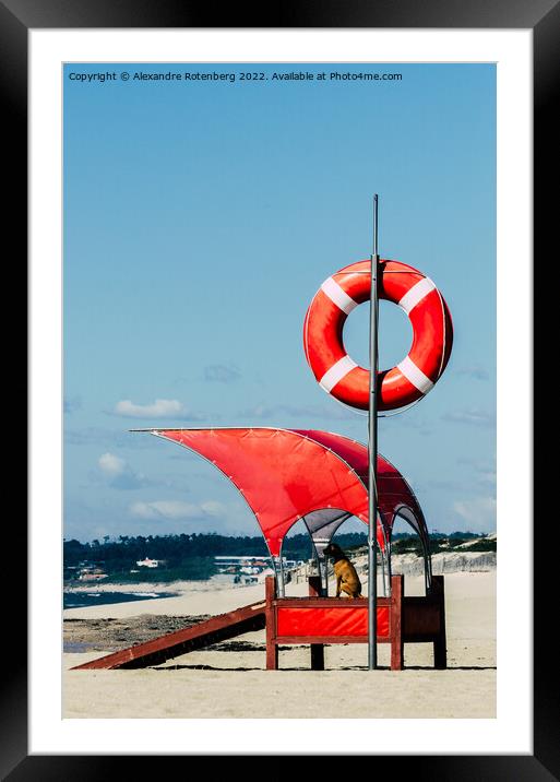 Lifeguard dog by a beach with baywatch float Framed Mounted Print by Alexandre Rotenberg