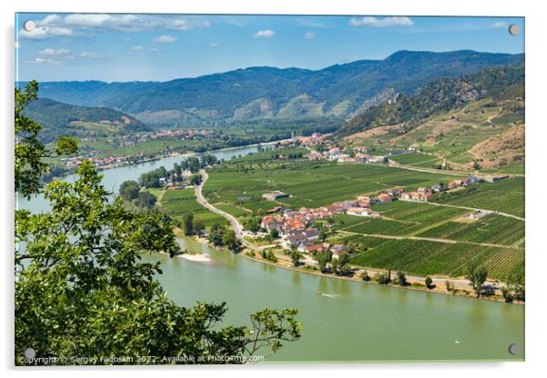 Vineyards by the Danube river in Wachau valley. Lower Austria. Acrylic by Sergey Fedoskin