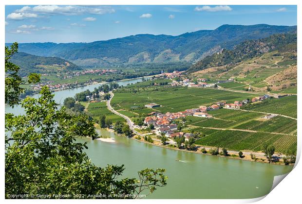 Vineyards by the Danube river in Wachau valley. Lower Austria. Print by Sergey Fedoskin