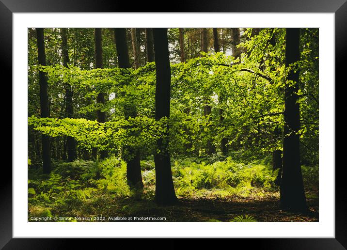 sunlit woodland Framed Mounted Print by Simon Johnson