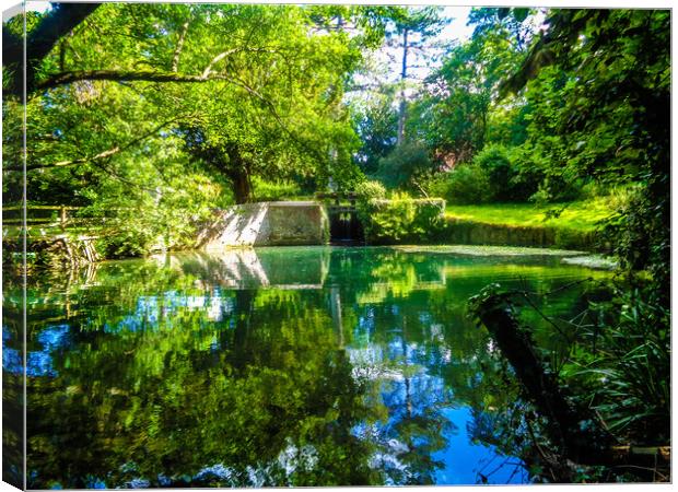 Enchanting Reflections Canvas Print by Simon Hill