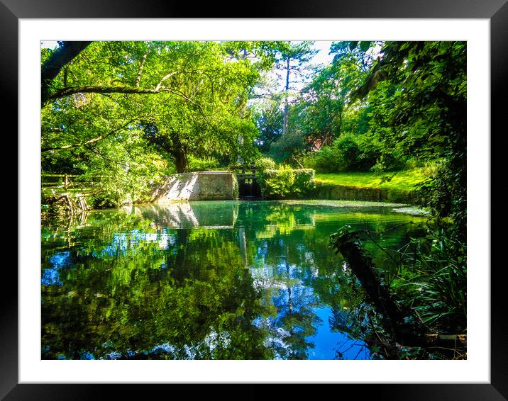 Enchanting Reflections Framed Mounted Print by Simon Hill