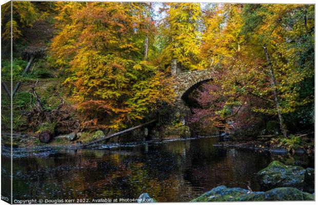 Autumn colours at The Hermitage Canvas Print by Douglas Kerr