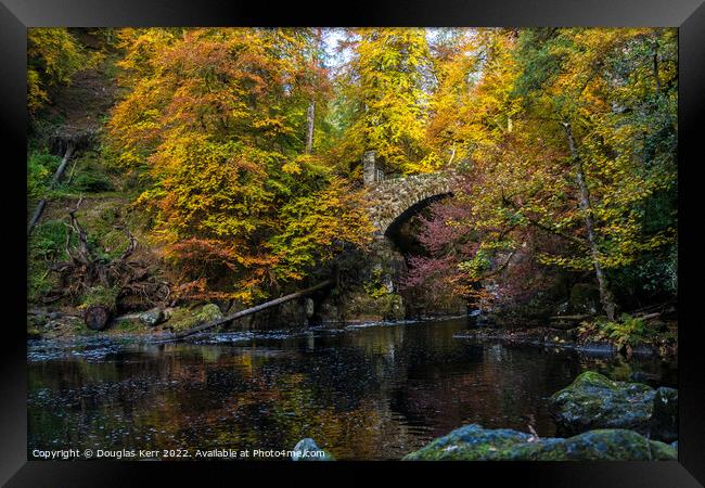 Autumn colours at The Hermitage Framed Print by Douglas Kerr