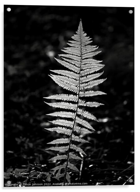 sunlit fern Acrylic by Simon Johnson