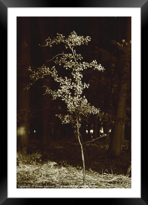 sunlit tree sepia Framed Mounted Print by Simon Johnson