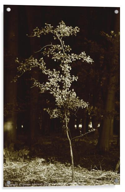 sunlit tree sepia Acrylic by Simon Johnson