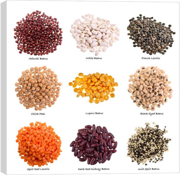 Various Types of Pulses on White Background with Names Canvas Print by Antonio Ribeiro