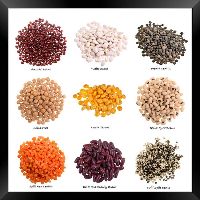 Various Types of Pulses on White Background with Names Framed Print by Antonio Ribeiro