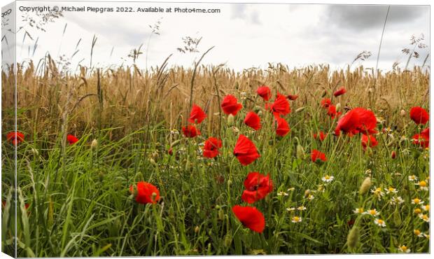 Beautiful red poppy flowers papaver rhoeas in a golden wheat fie Canvas Print by Michael Piepgras