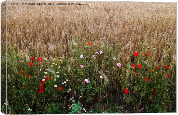 Beautiful red poppy flowers papaver rhoeas in a golden wheat fie Canvas Print by Michael Piepgras