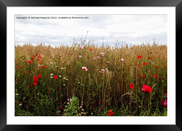 Beautiful red poppy flowers papaver rhoeas in a golden wheat fie Framed Mounted Print by Michael Piepgras