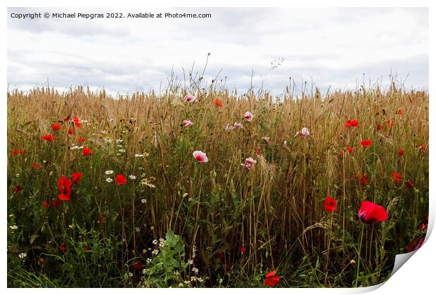 Beautiful red poppy flowers papaver rhoeas in a golden wheat fie Print by Michael Piepgras