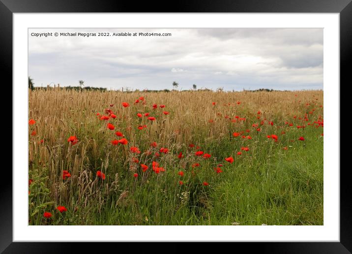 Beautiful red poppy flowers papaver rhoeas in a golden wheat fie Framed Mounted Print by Michael Piepgras