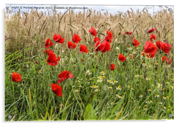 Beautiful red poppy flowers papaver rhoeas in a golden wheat fie Acrylic by Michael Piepgras