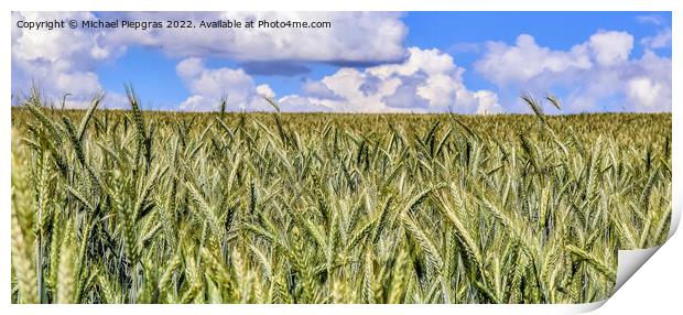 Beautiful panorama of agricultural crop and wheat fields on a su Print by Michael Piepgras