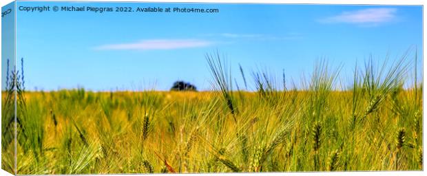 Beautiful panorama of agricultural crop and wheat fields on a su Canvas Print by Michael Piepgras