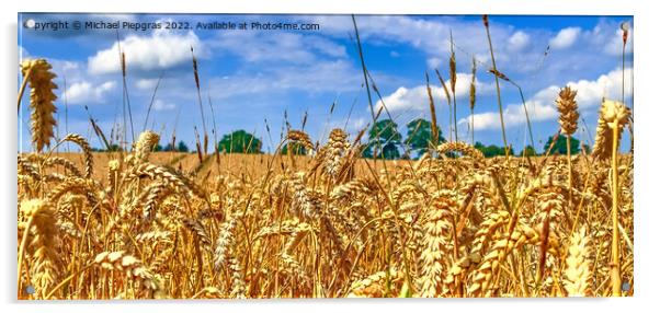 Beautiful panorama of agricultural crop and wheat fields on a su Acrylic by Michael Piepgras