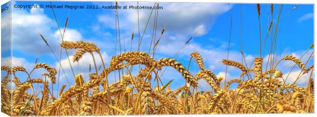 Beautiful panorama of agricultural crop and wheat fields on a su Canvas Print by Michael Piepgras