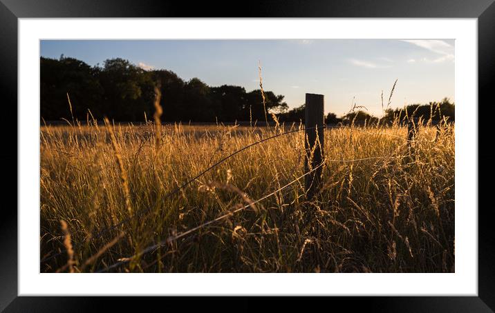 Wire fence backlit by sunset Framed Mounted Print by Jason Wells