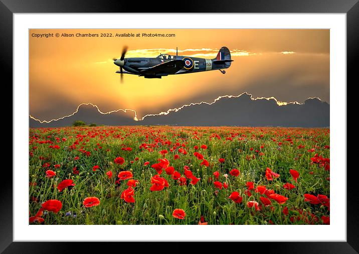 Spitfire Poppy Field Memorial Flight Framed Mounted Print by Alison Chambers