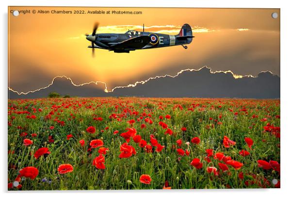 Spitfire Poppy Field Memorial Flight Acrylic by Alison Chambers