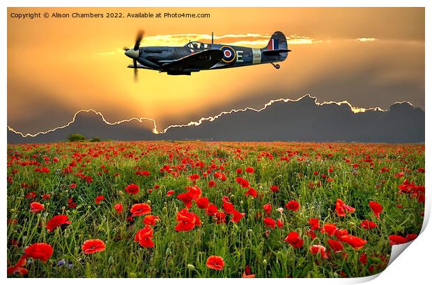 Spitfire Poppy Field Memorial Flight Print by Alison Chambers