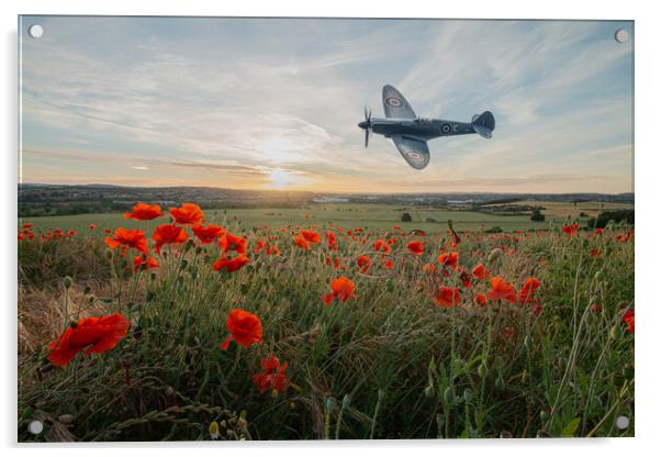 Spitfire Crimson Poppy Fly By Acrylic by J Biggadike