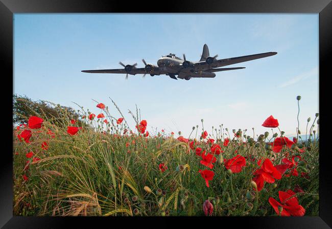 B17 Poppy Fly By Framed Print by J Biggadike