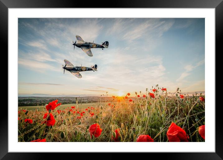 Spitfire and Hurricane Poppy Tribute Framed Mounted Print by J Biggadike