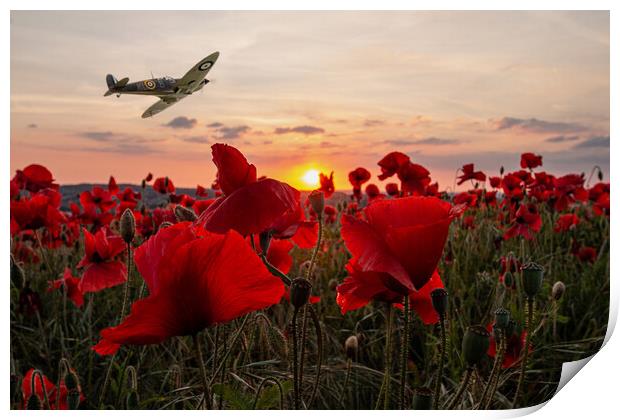 Outdoor field Print by J Biggadike