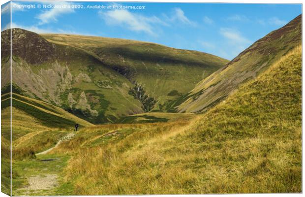 The Walk to Cautley Spout Howgill Fells Canvas Print by Nick Jenkins