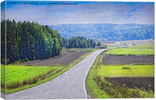 August Haze over Winding Country Road  Canvas Print by Taina Sohlman