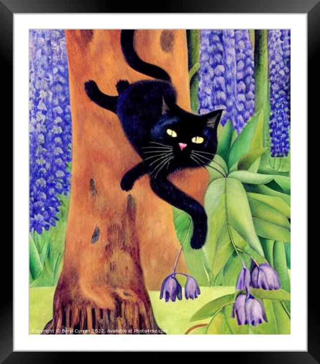 Lazy Black Cat in the Purple Forest Framed Mounted Print by Beryl Curran