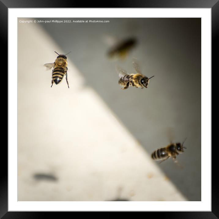 Busy Beehive Framed Mounted Print by John-paul Phillippe