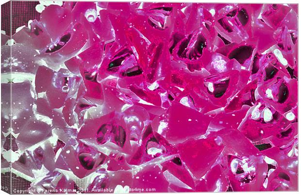 Pink & Ice Canvas Print by Ferenc Kalmar