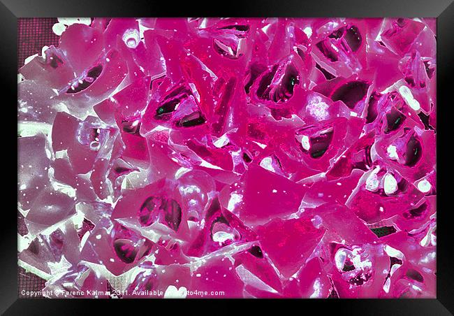 Pink & Ice Framed Print by Ferenc Kalmar