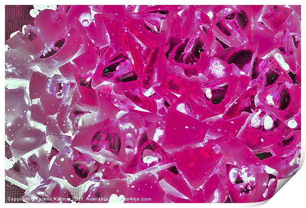 Pink & Ice Print by Ferenc Kalmar