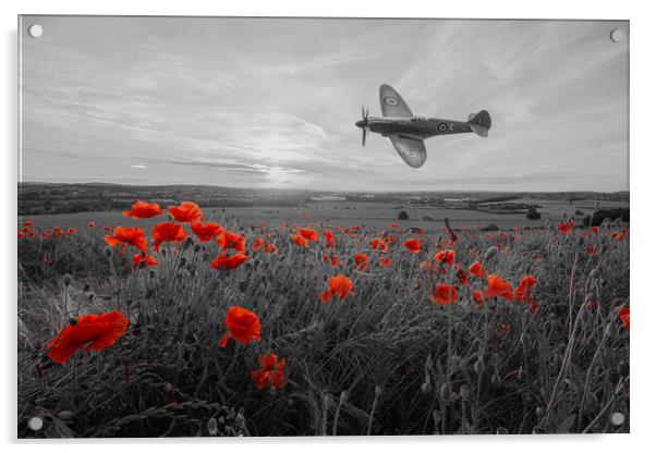 Spitfire Crimson Poppy Fly By Acrylic by J Biggadike